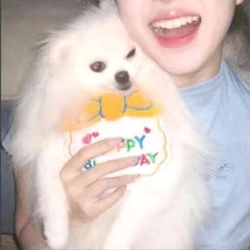 锦鲤