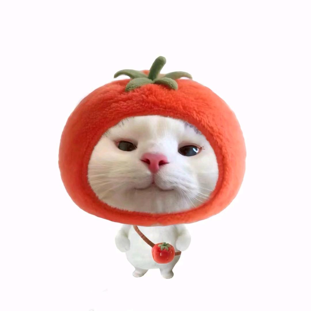 E`