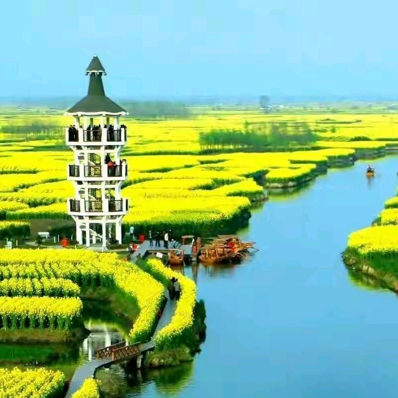 给我背影