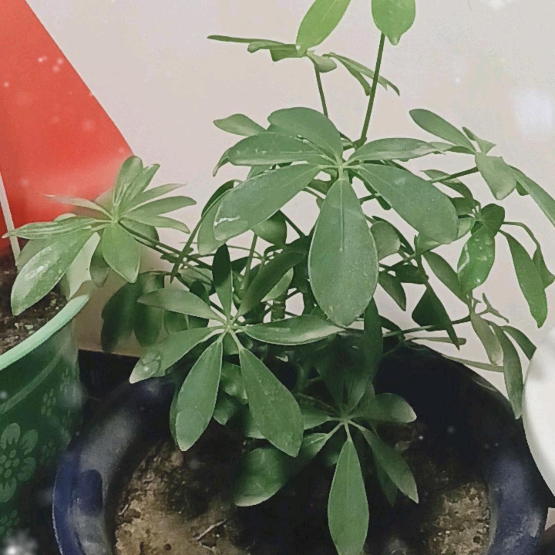 ❤️，，，，，随缘❤️