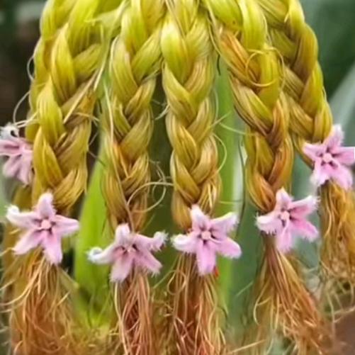 潇洒的走，永不回头