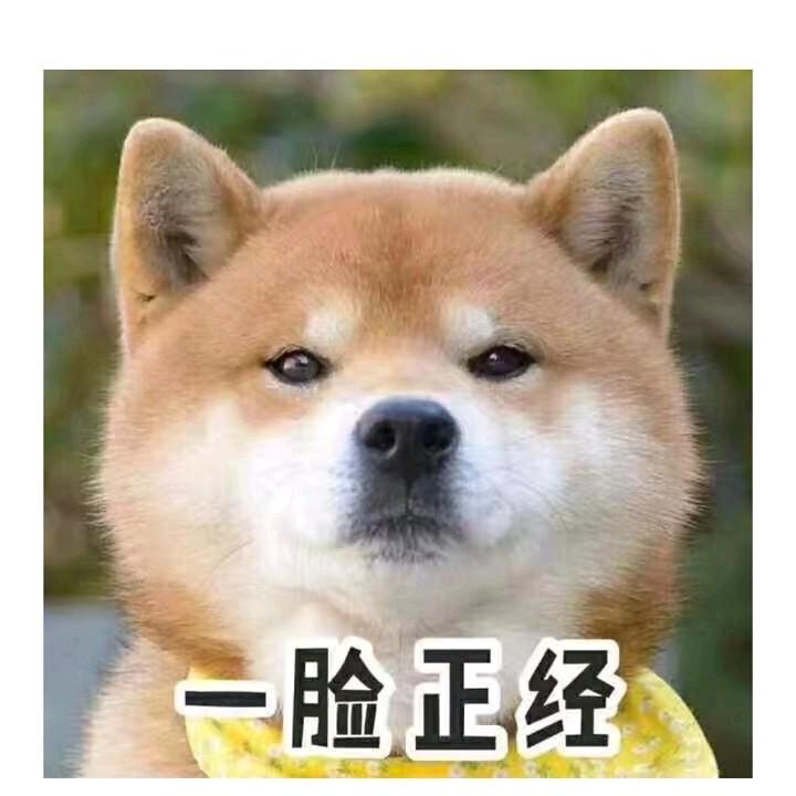 转基因变态大鲶鱼