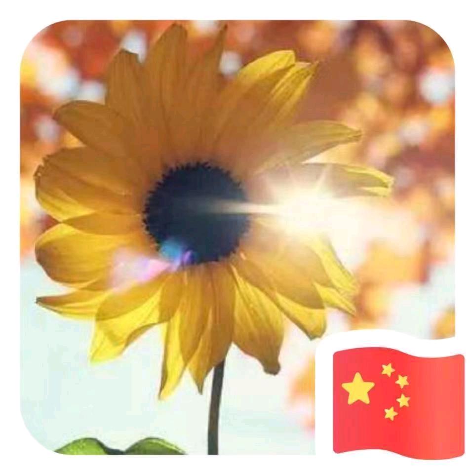 南崖村香妮鼓舞团（洋鼓洋号、龙鼓）