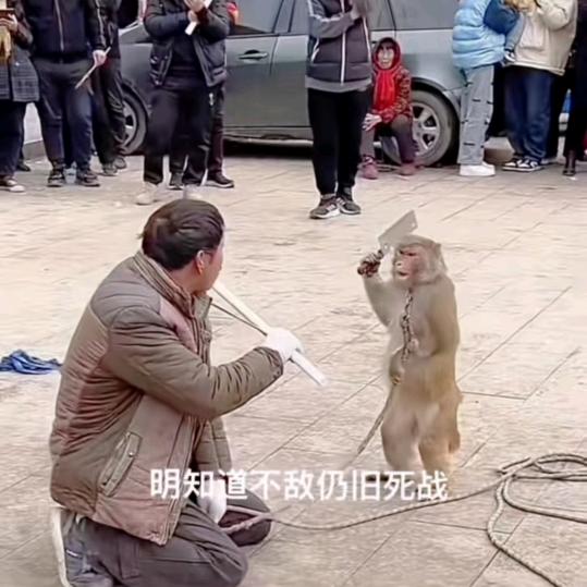 要吃肯德德