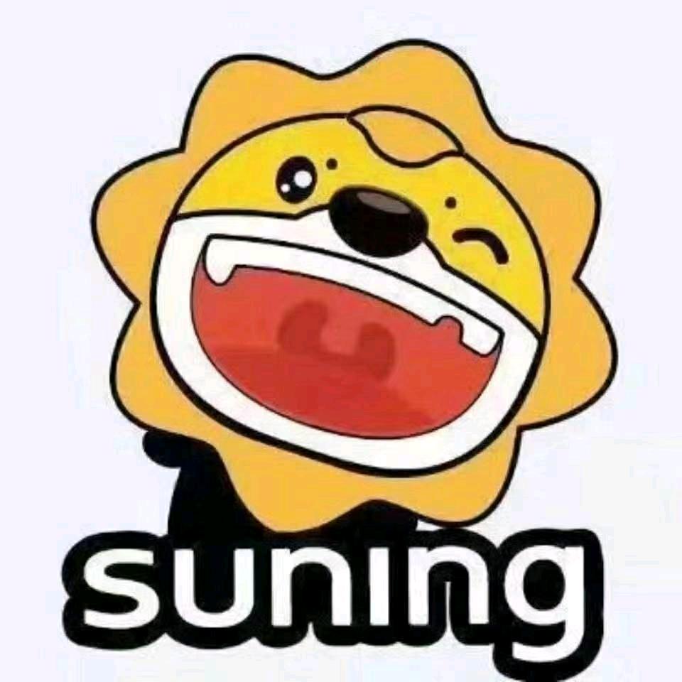 苏宁易购零售云武官寨店