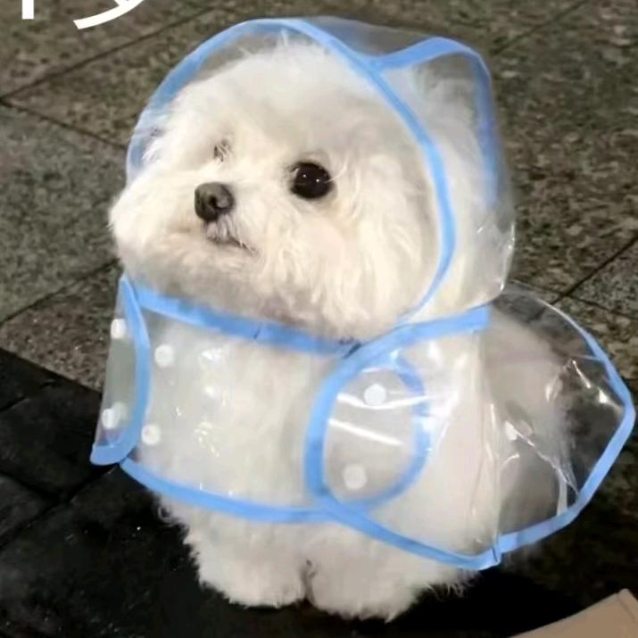 芯羽轩