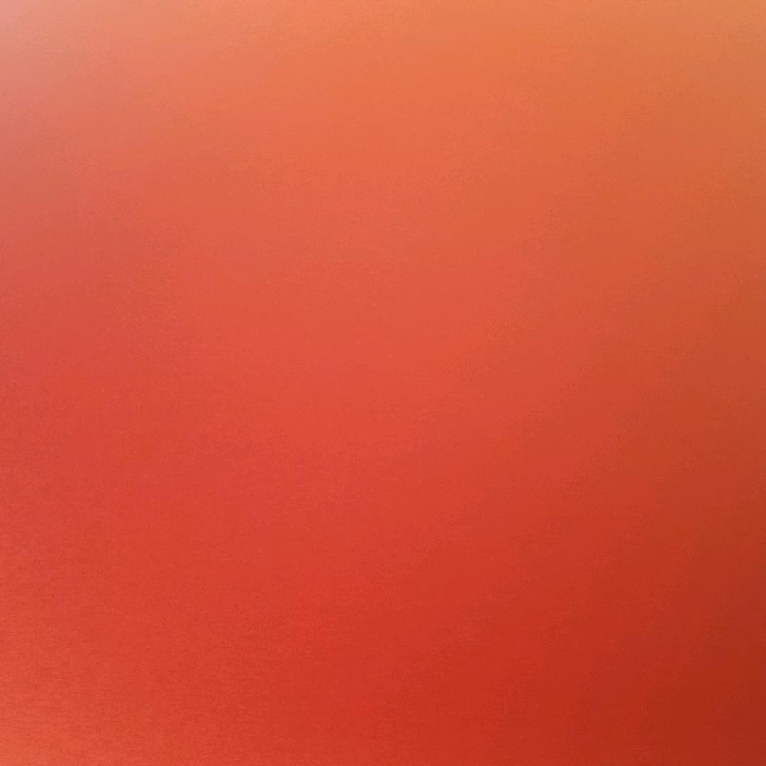 想飞的狼