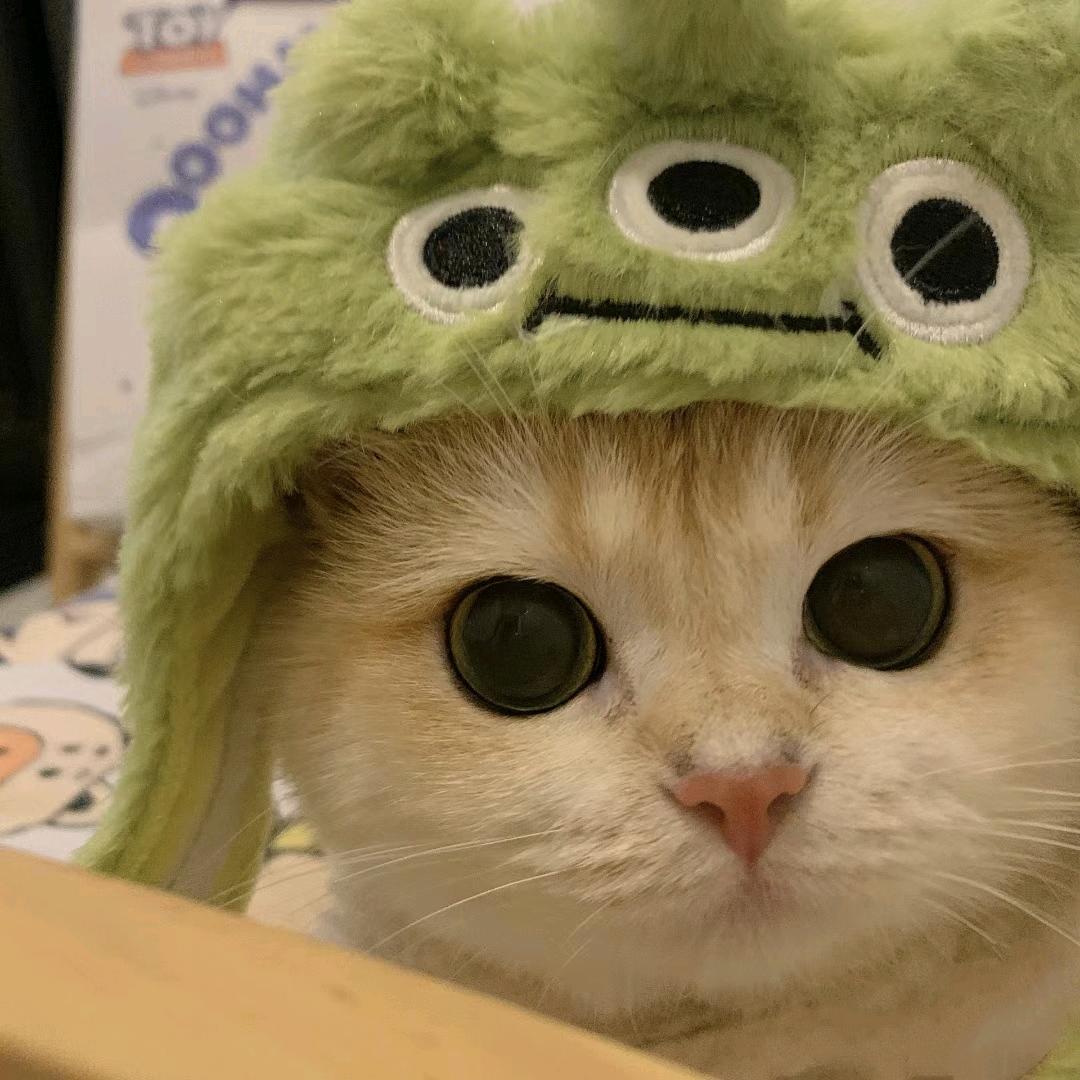 小鱼干