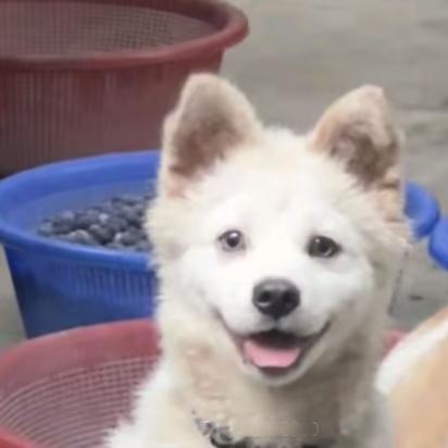 唐冬禧