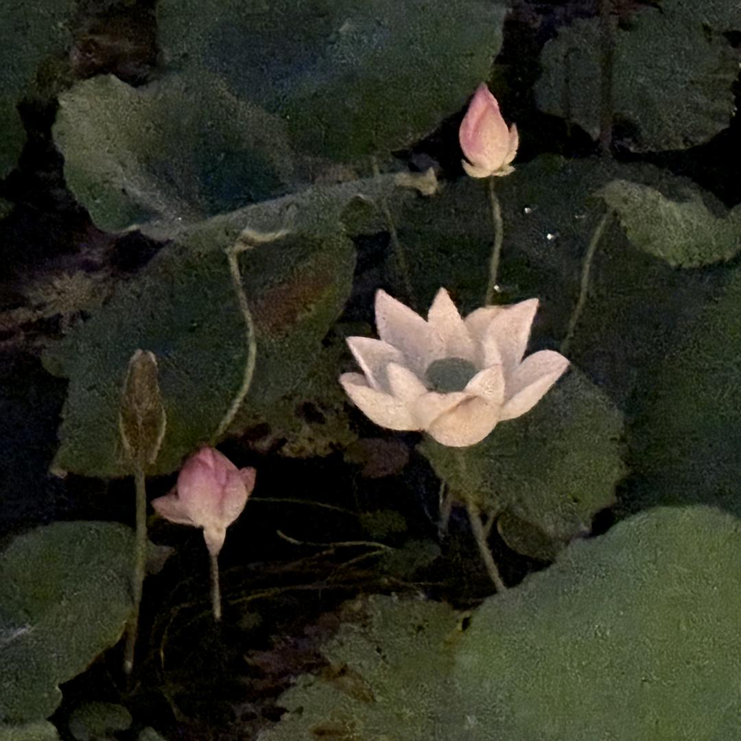 绿豆蛙