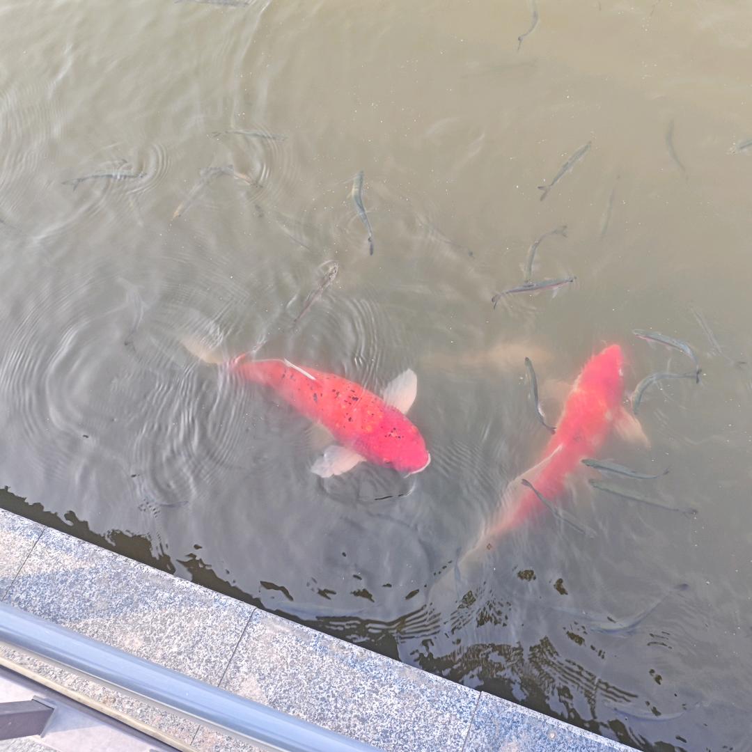 浮生心动