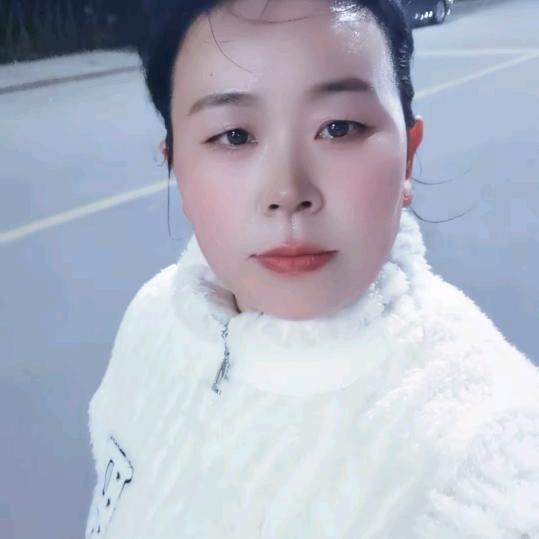 带着翠花去旅游