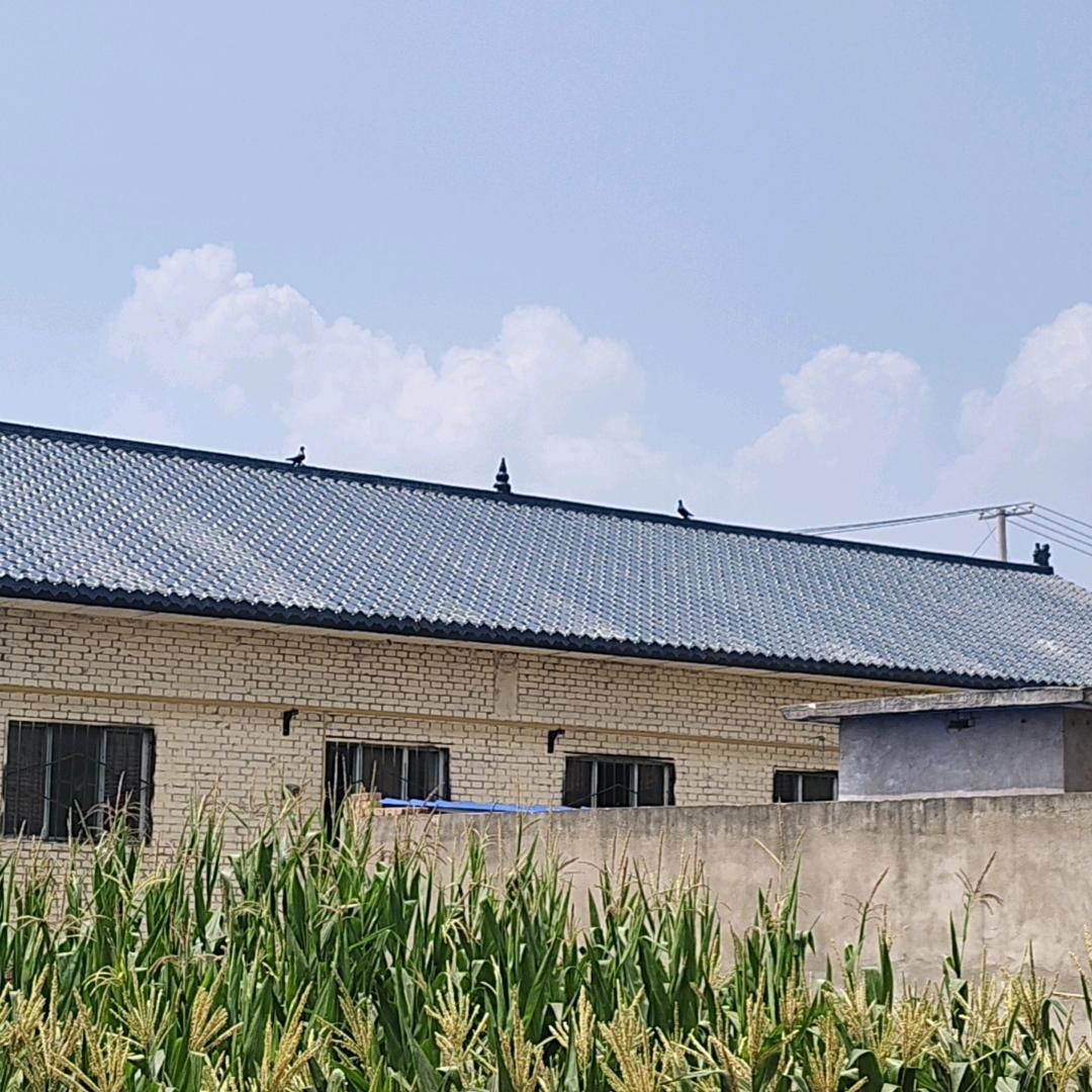 专业彩钢瓦，钢结构，安装(小暴电焊)