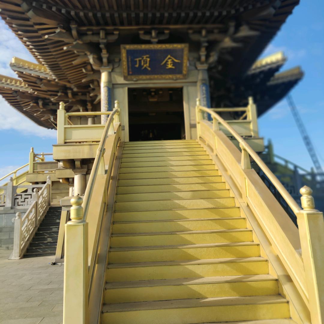 股票倍樂