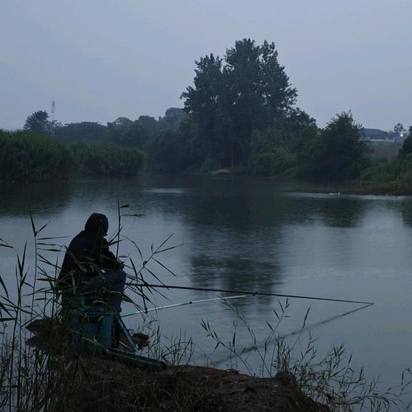 风吹雨落理还乱