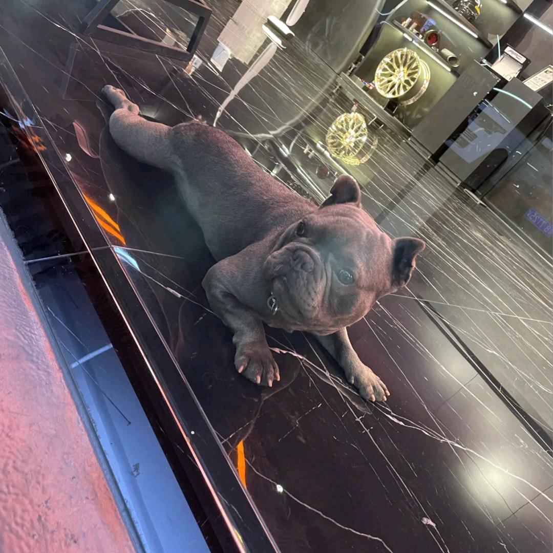 方宸