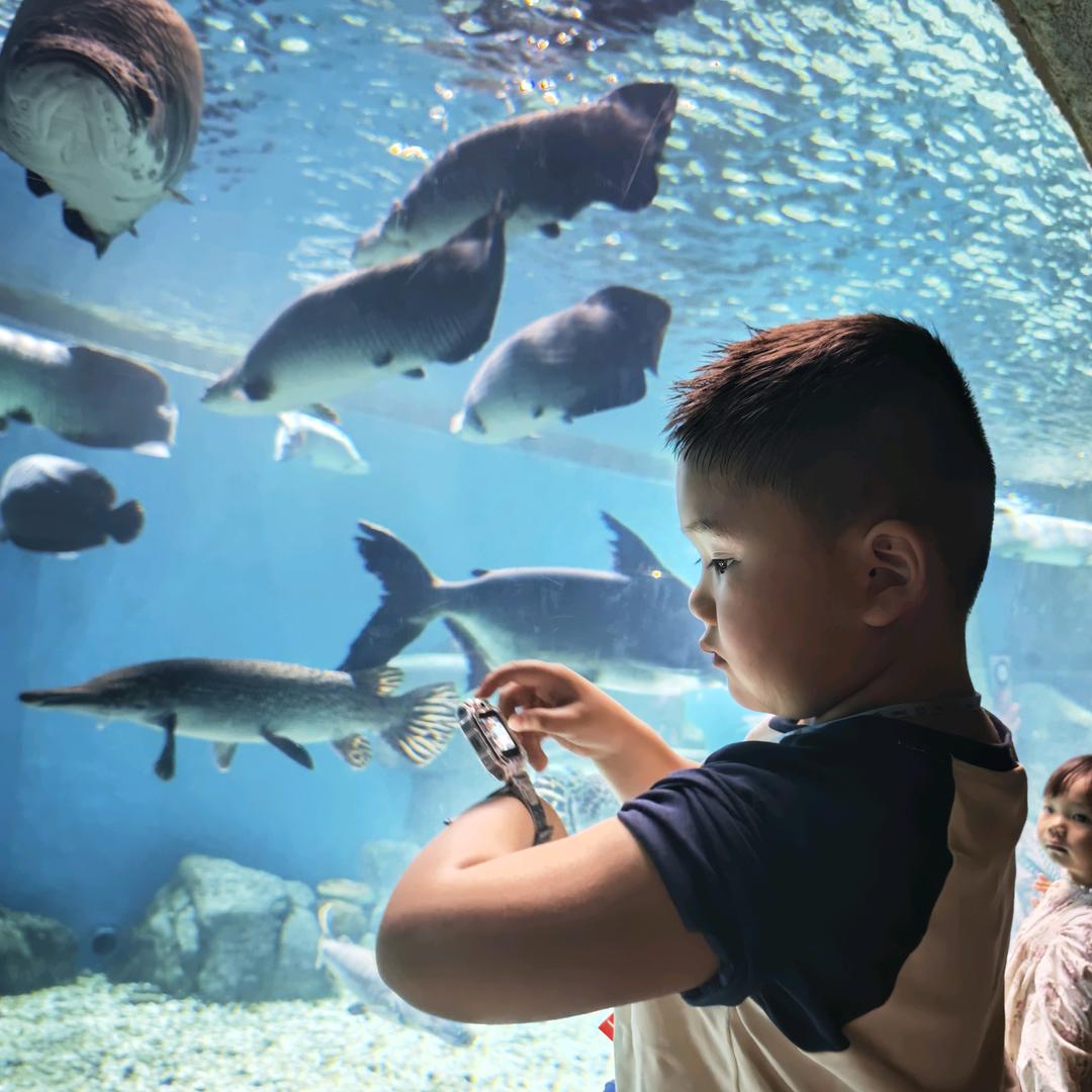 富冒油(好物推荐官）