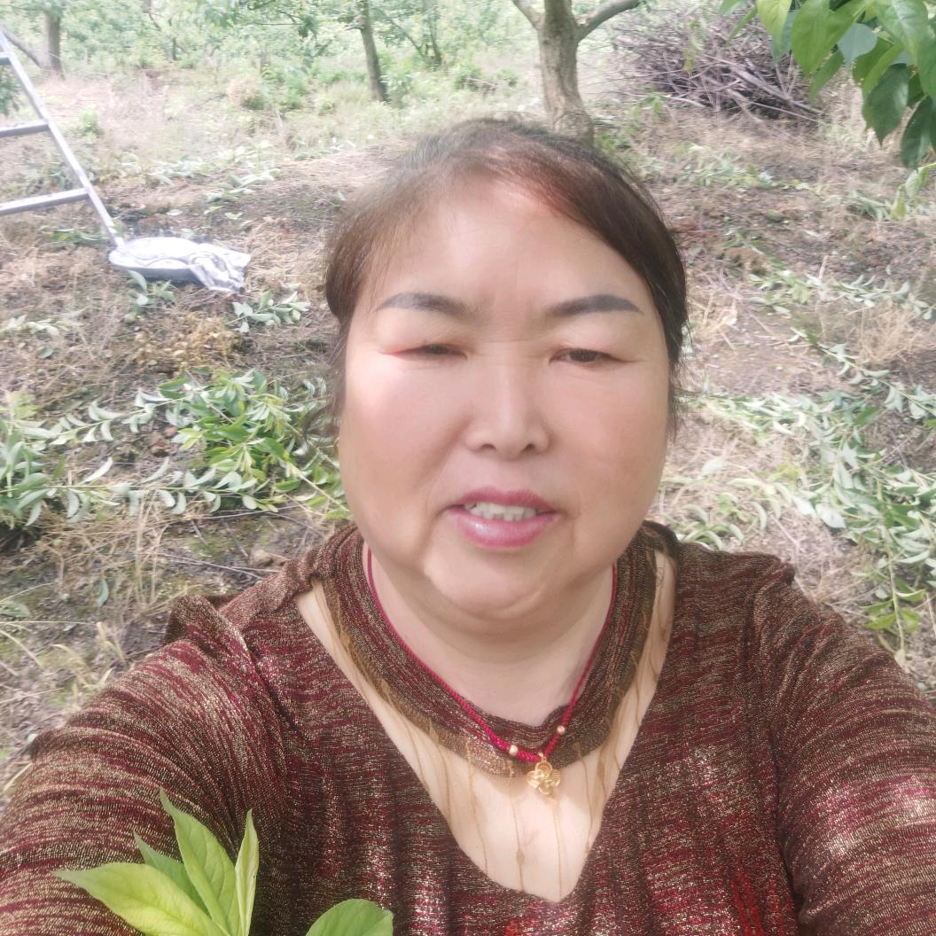 珍姐