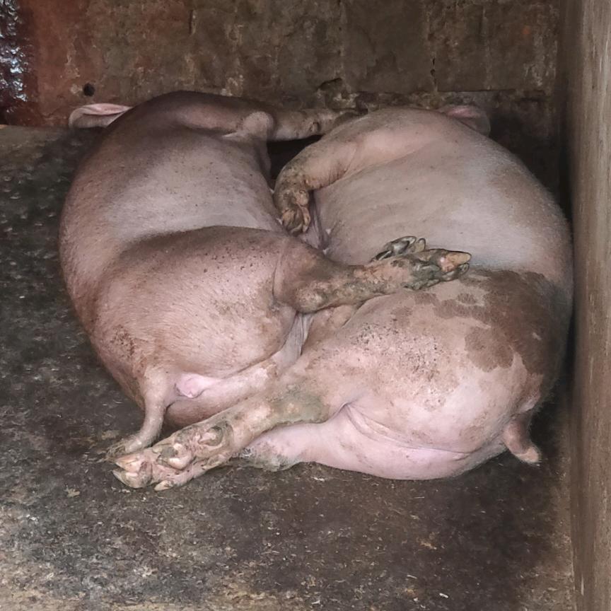 一👨🏻一世界