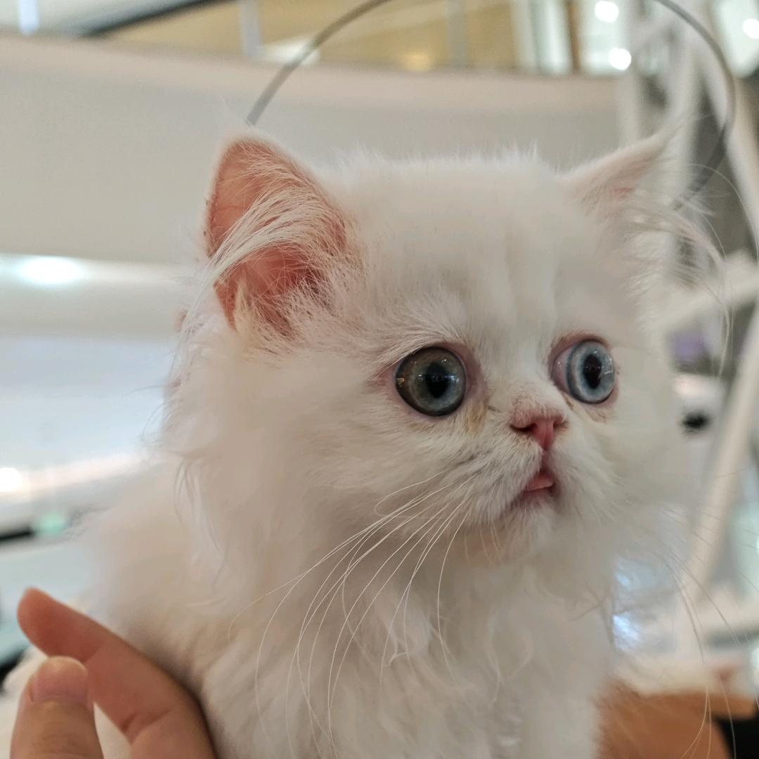 左下痣