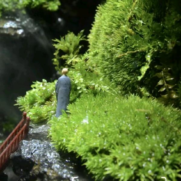 曦廷严选好货店