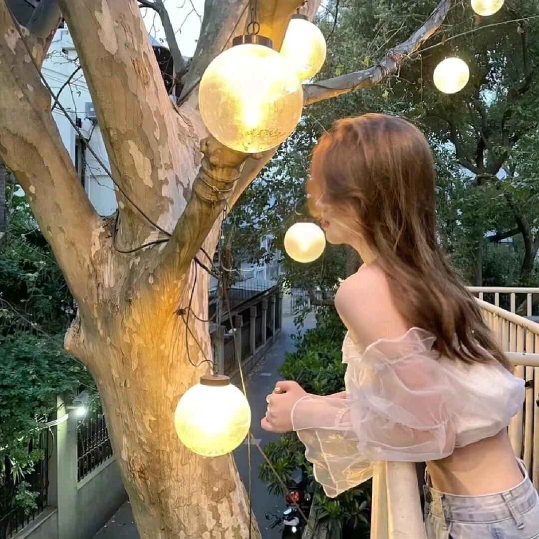 安妮要暴富668