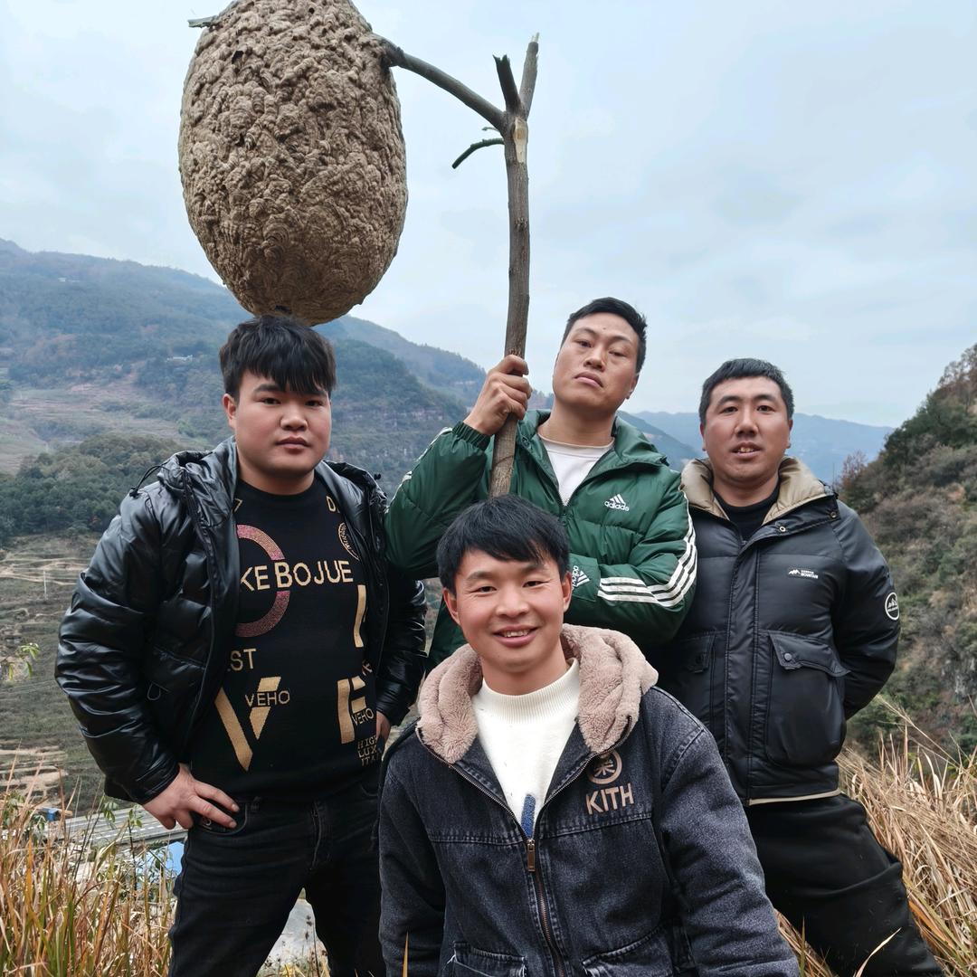 张军正能量  招策划