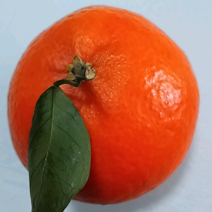 天之蓝