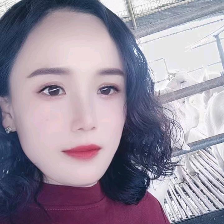 杜泊绵阳养殖