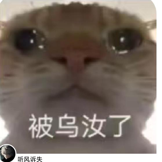 调皮的小五晟睿