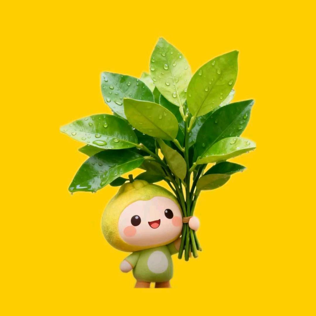 ᭄ℯ⃝凡夫℘俗᭄子ꦻ