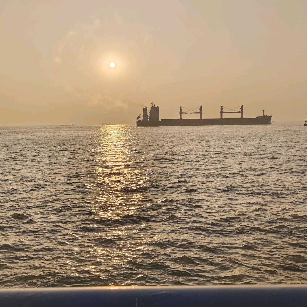 坏坏乖