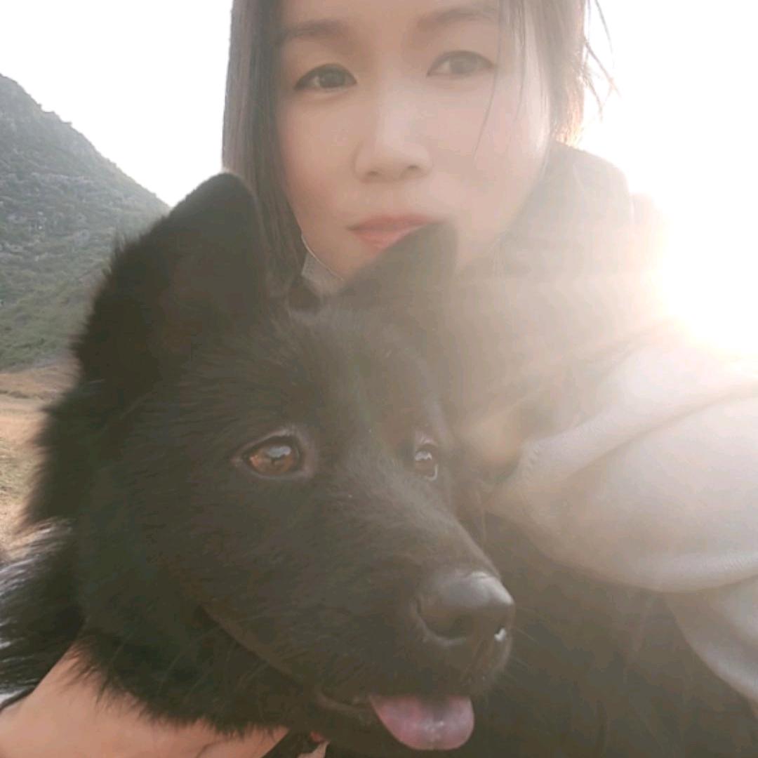 护卫犬——旺