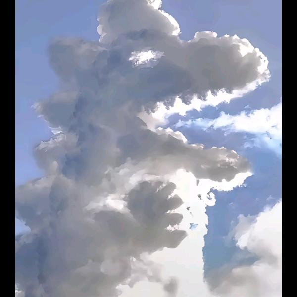 不李貌