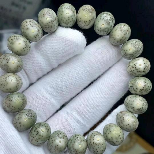 淇境森林