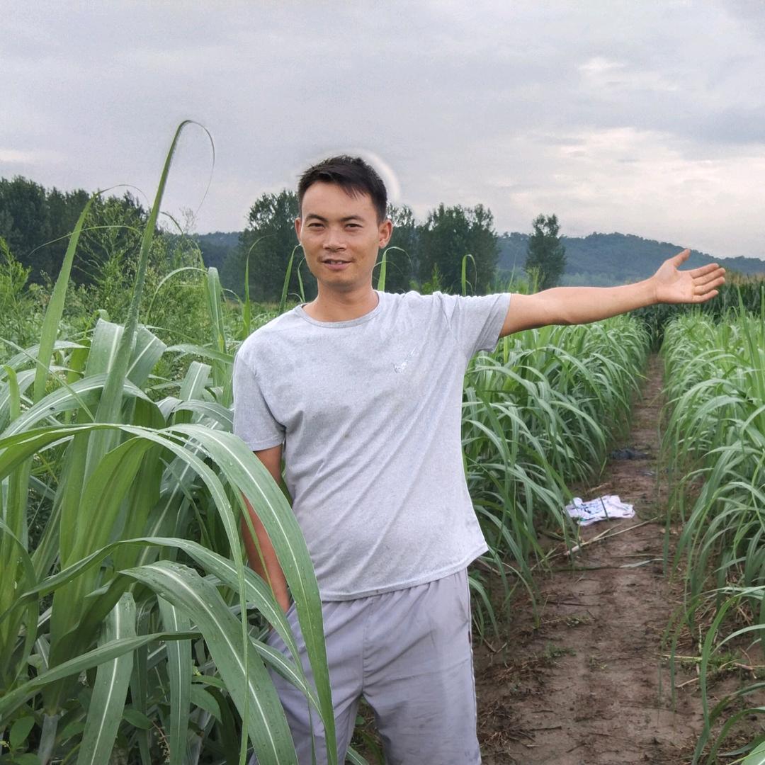 豫南乡村小哥（豫龍汇）