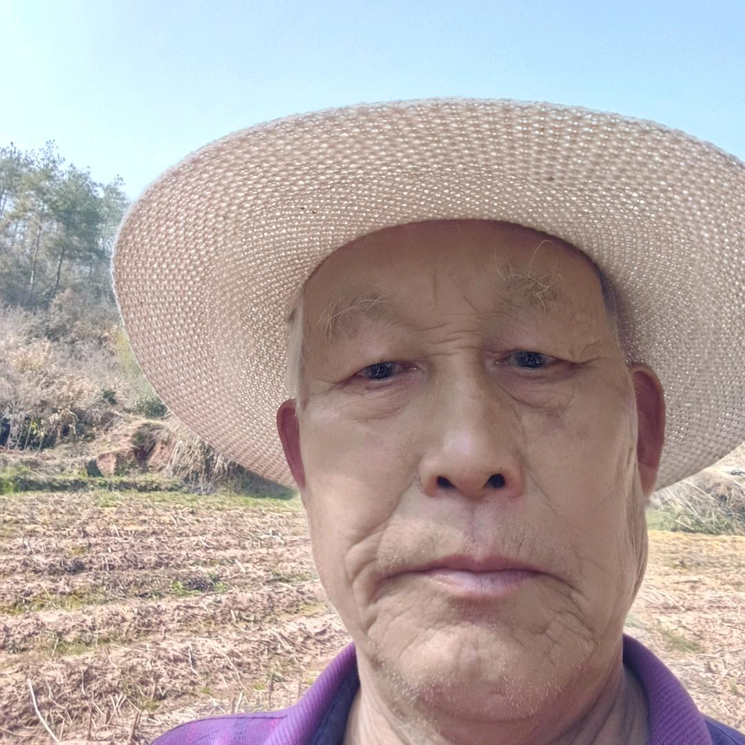 抖音文海