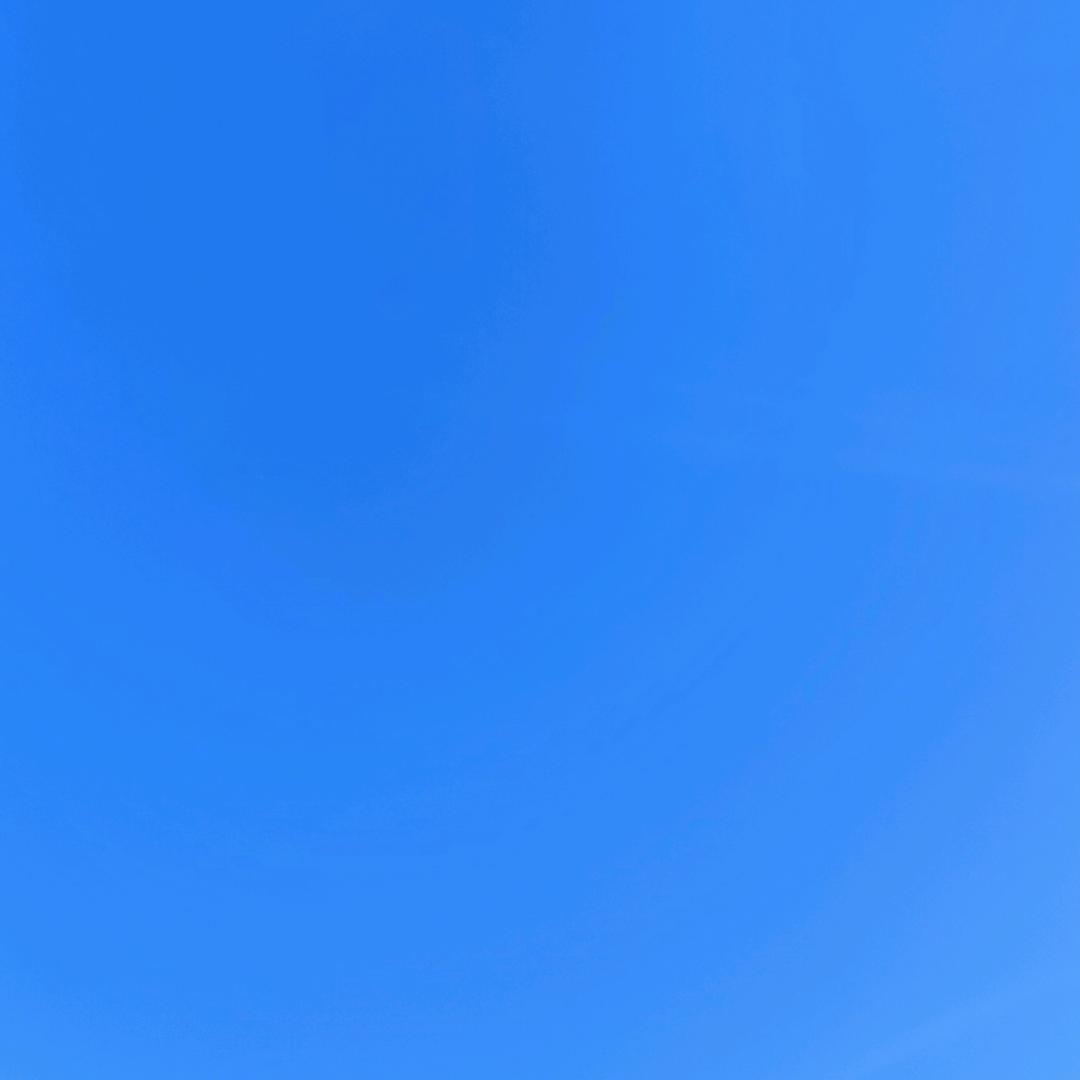 忽悠