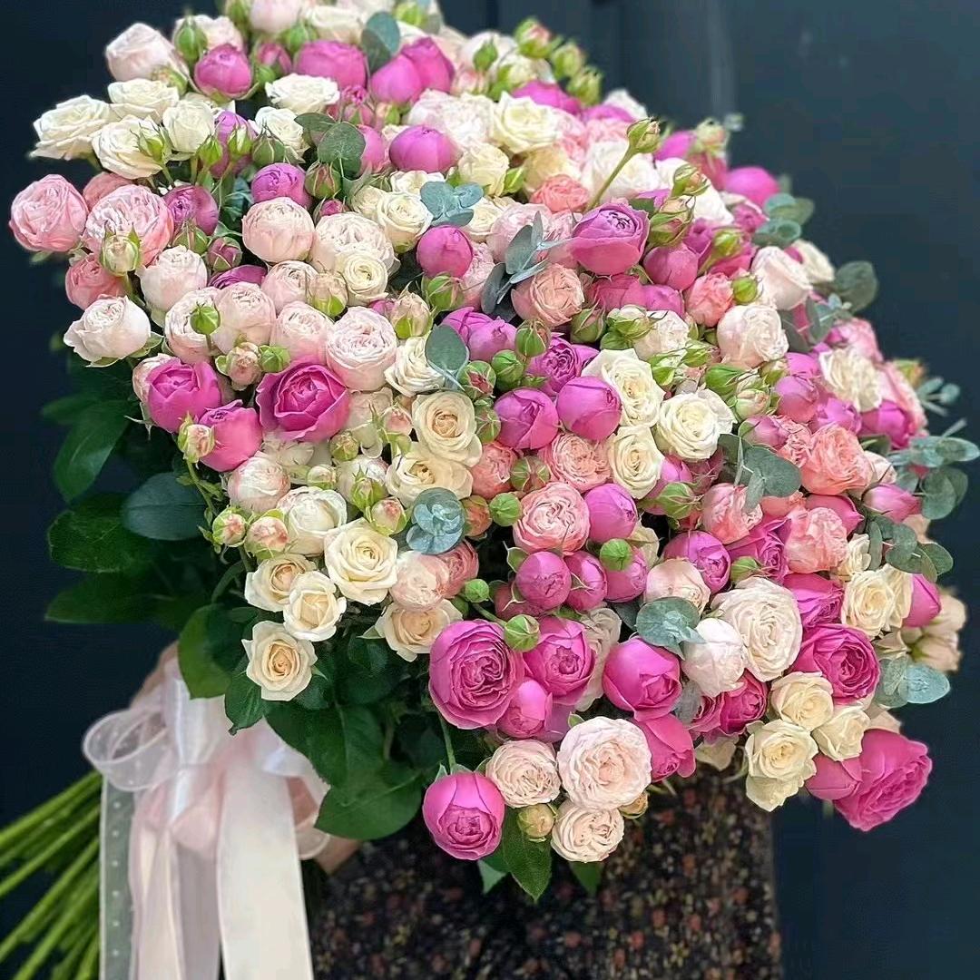 💞᭄