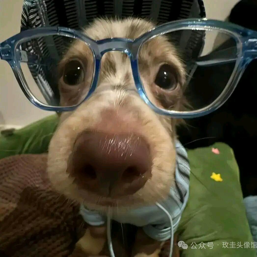 高冷涵少