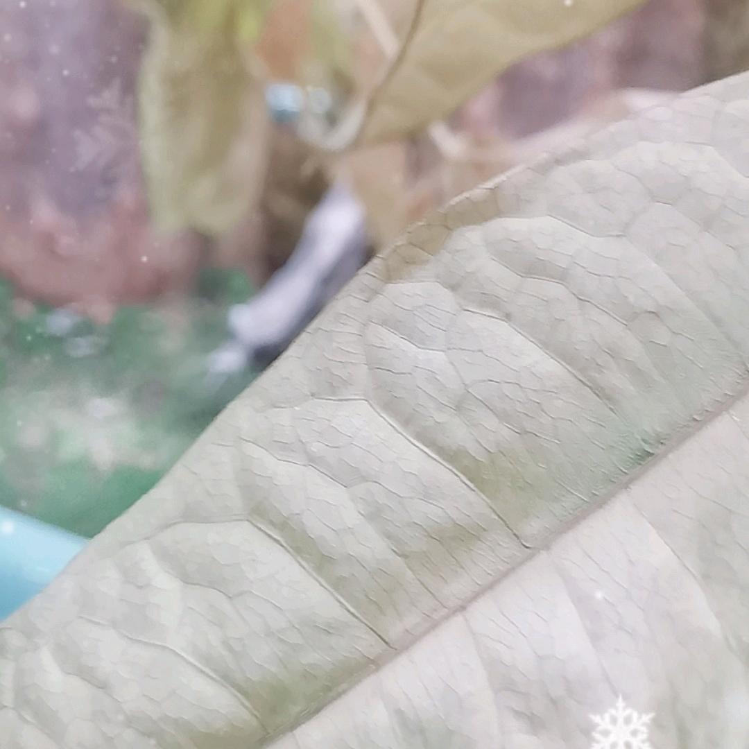 水墨画