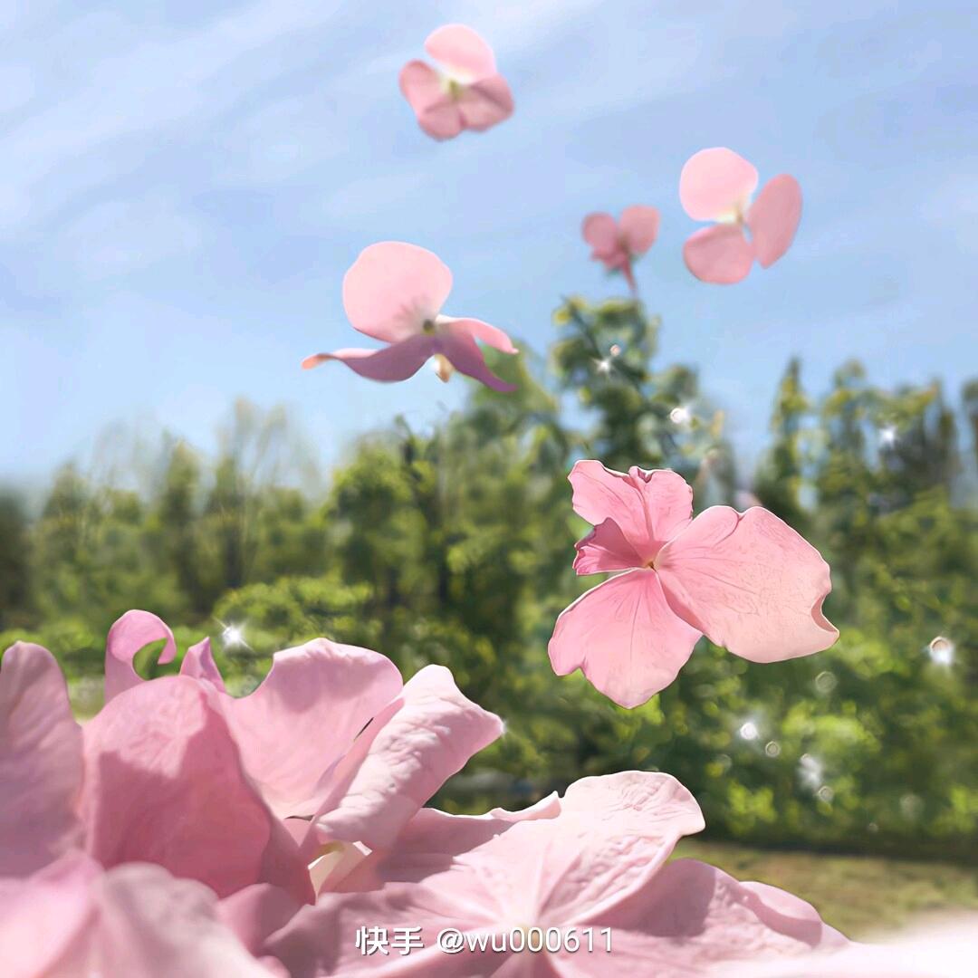 丽丽,可私聊