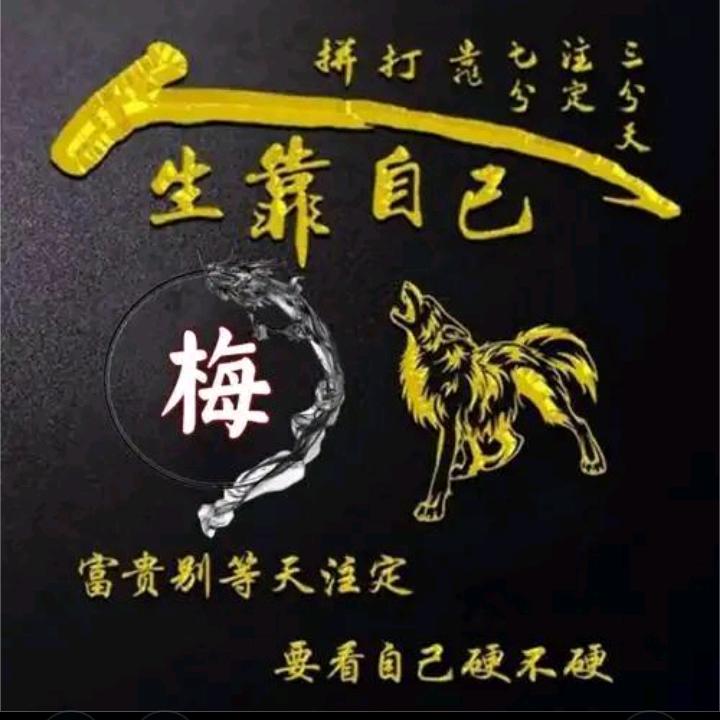 梅姐说驾考