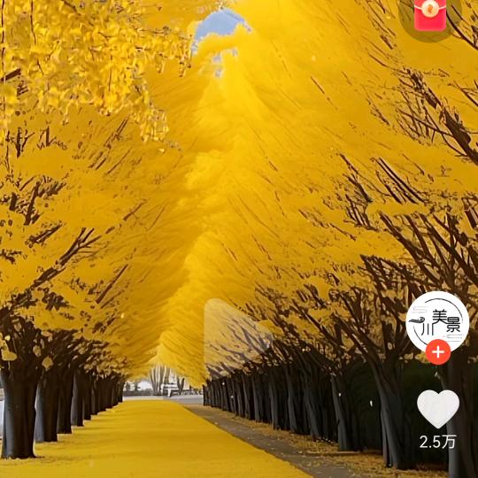 寒光照铁衣