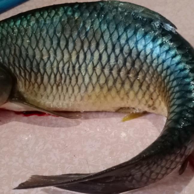 相聚是缘
