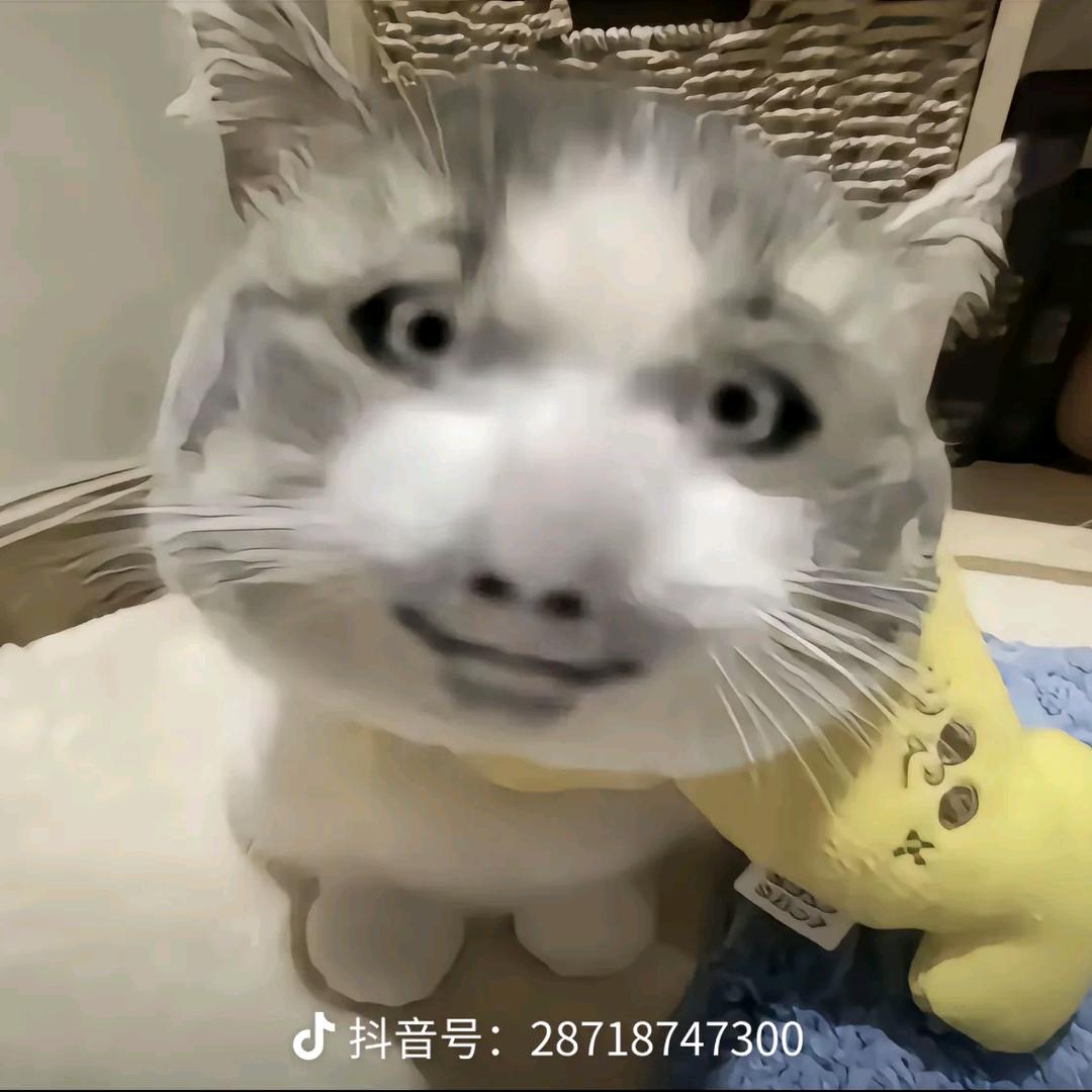 少女梁文智