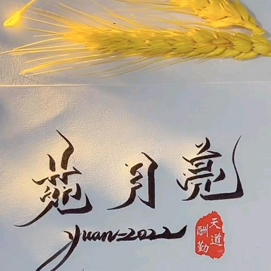 小爷叫月亮🌙