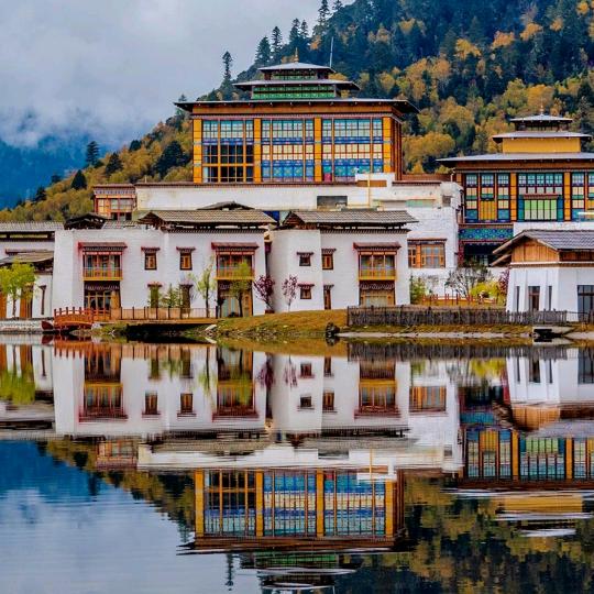 壹叁壹肆💞伍贰零