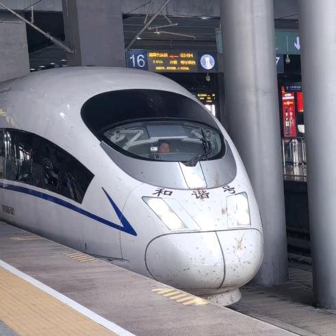 🆑我的猫咪日记