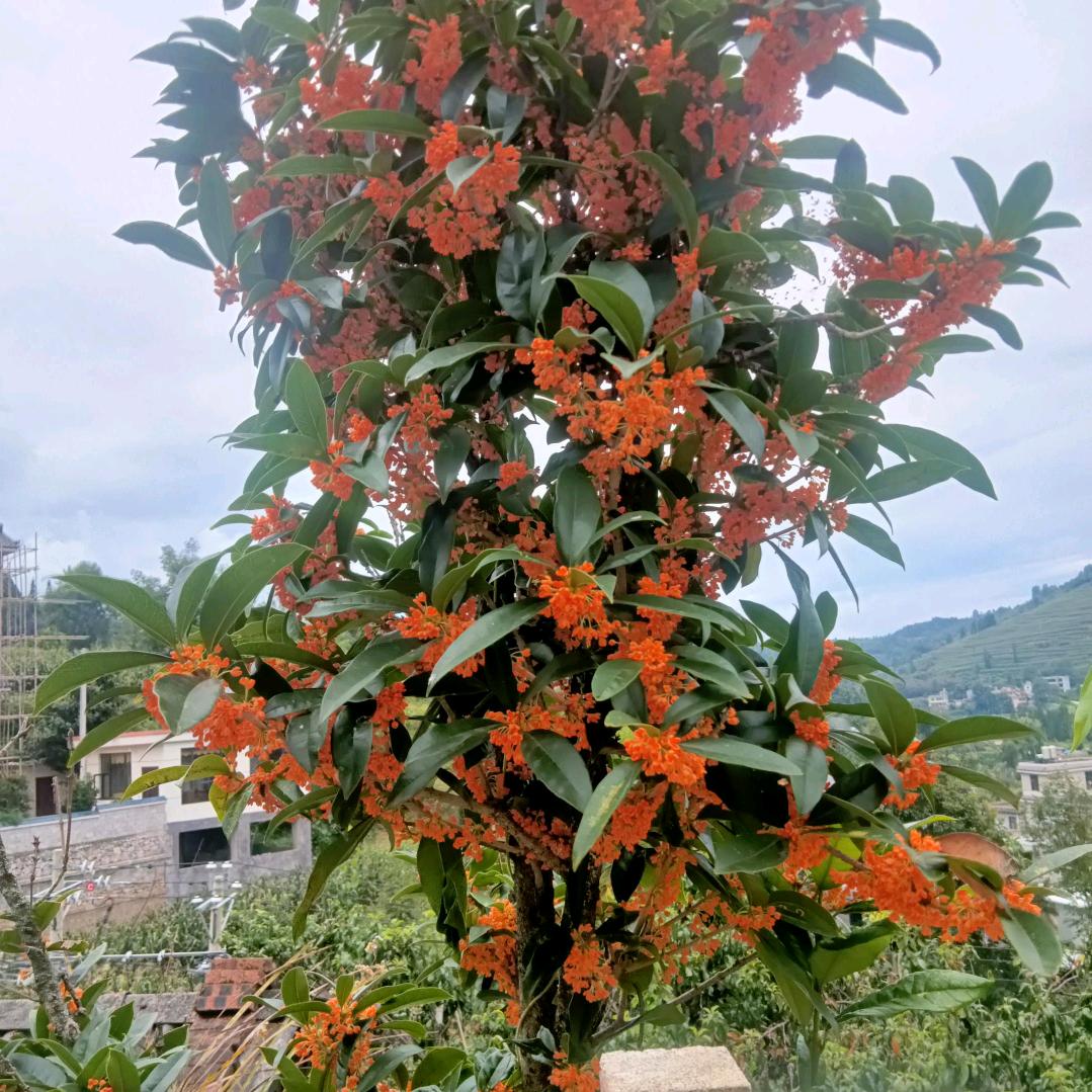 爱我就别伤害我